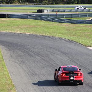 IMG 9851