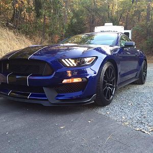Shelby