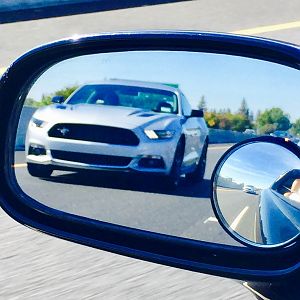 stang2