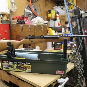 Mini 14