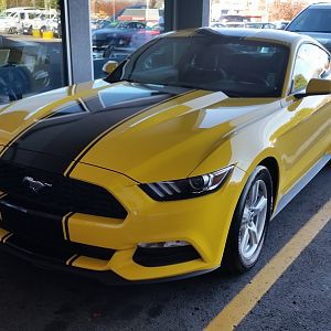 2016 yellow
