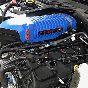 Whipple install