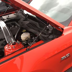 stock master cylinder area