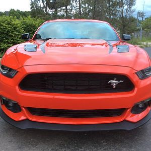 Mustang front, bad color...