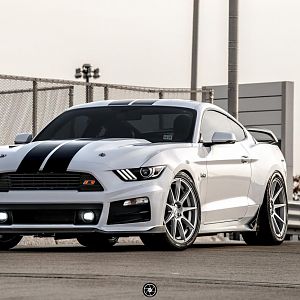 White S550 VMB9 MS 1
