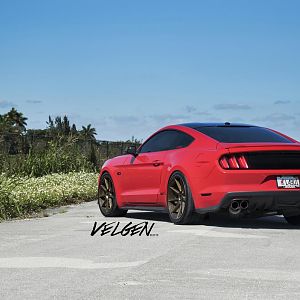 Roush Red Mustang VMB9 Bronze 5