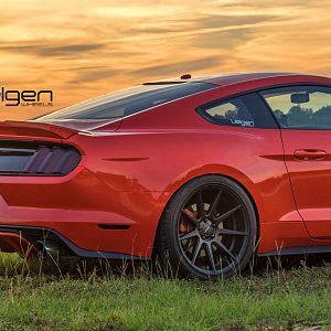 S550 Mustang VMB9 5