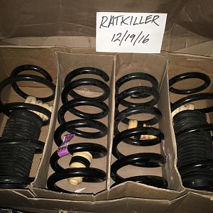 17" PP Springs