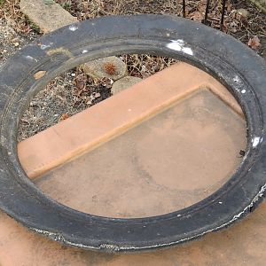 Cut down tire souvenir