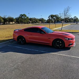 stang17