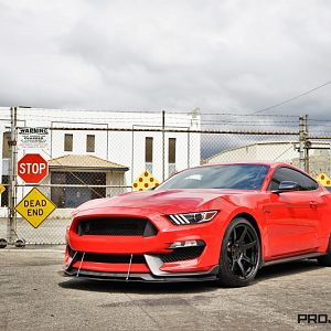 PROJECT 6gr 14 e1473921053943
