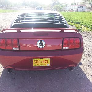 Rear
