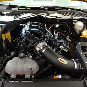 Engine Bay Shot