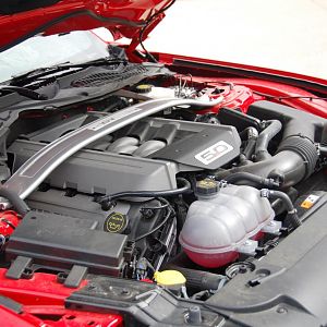 DSC 0761