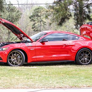 Best in show S550