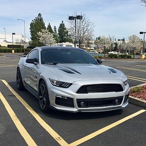The stang