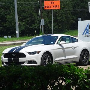 DSC00226 My Ecoboost
