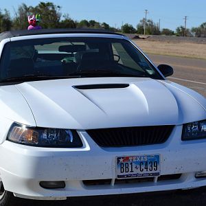 DSC 0103 2000 GT Traded for the 2015 ecoboost