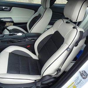 DSC00200 custom interior 2015 ecoboost