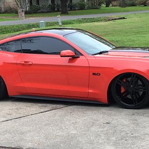 IMG 7764