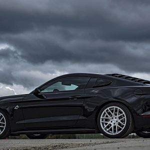NoWifey5.0