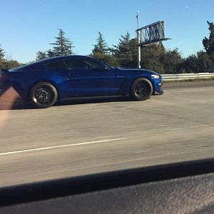 gt350