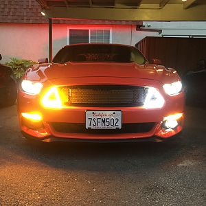 CDC SWITCH BACK GRILLE