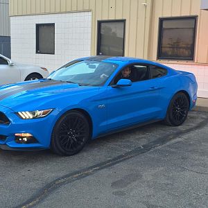 stang