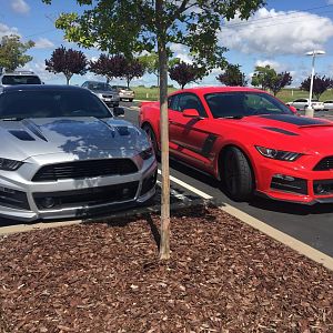 roush