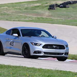 MSR 1