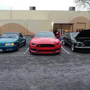 9562.jpg