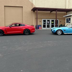 9563.jpg