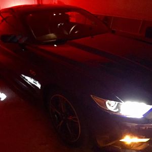 All in lights.