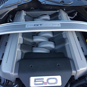 5.0 engine photo.