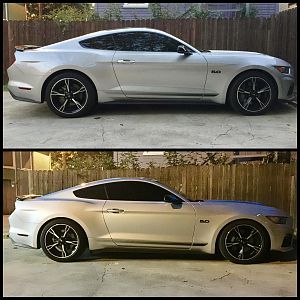 IMG 0442