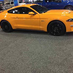 Orange Fury