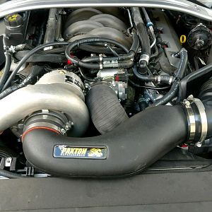 paxton1