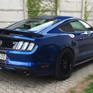 back