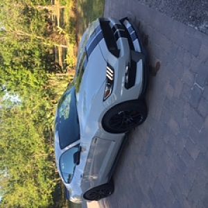 GT 350