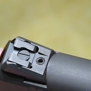 Competition Series rear sight
