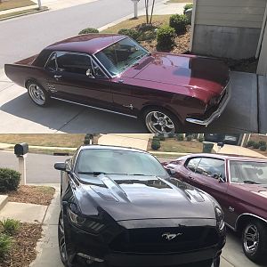 Old & New