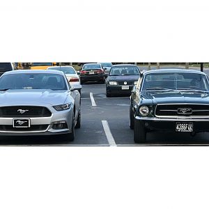 My16GTanda67Mustang