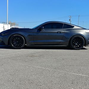 After lowering with Eibach Pro-Kit.