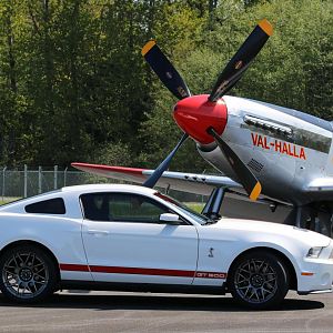 Props and Ponies